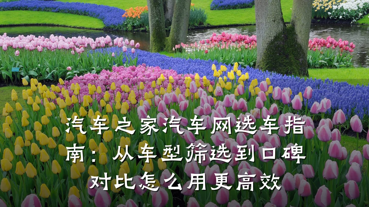 汽车之家汽车网选车指南：从车型筛选到口碑对比怎么用更高效