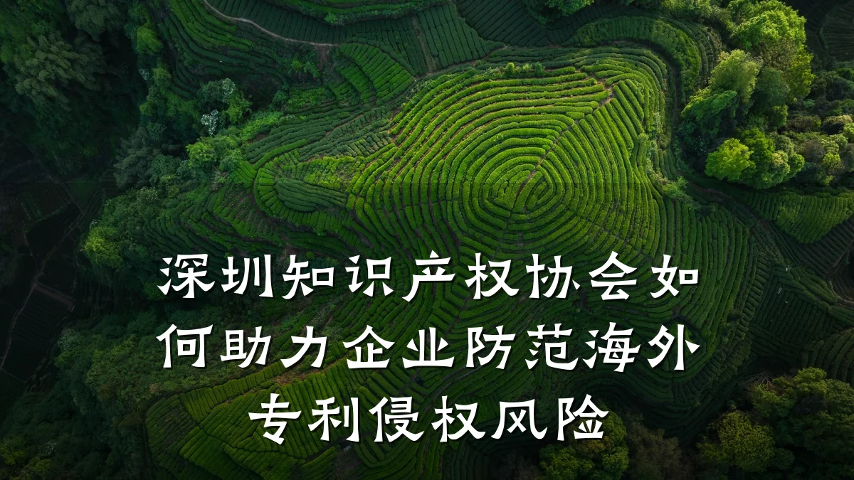 深圳知识产权协会如何助力企业防范海外专利侵权风险