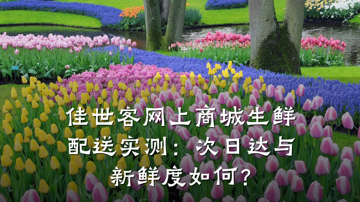 佳世客网上商城生鲜配送实测：次日达与新鲜度如何？