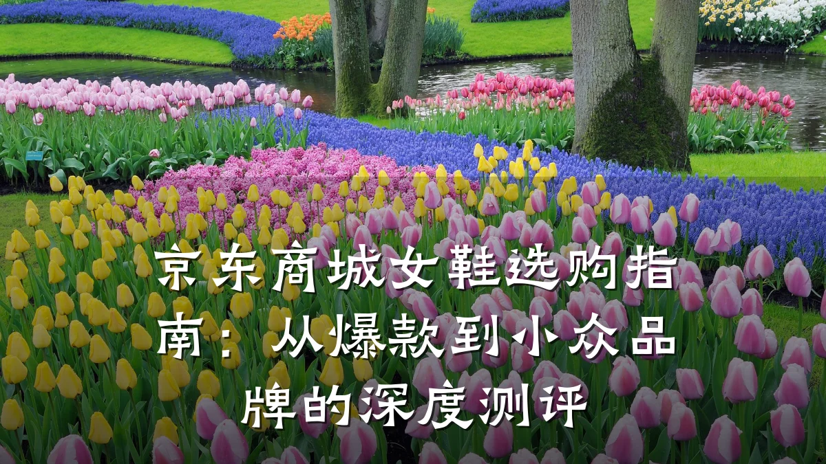 京东商城女鞋选购指南：从爆款到小众品牌的深度测评