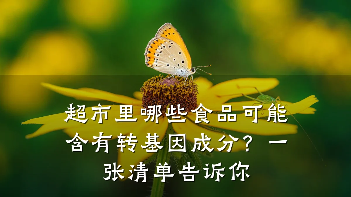 超市里哪些食品可能含有转基因成分？一张清单告诉你