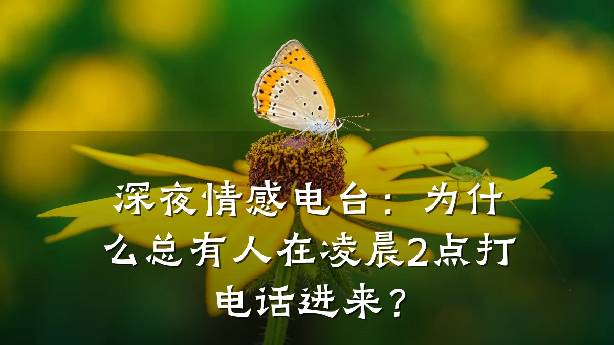 深夜情感电台:为什么总有人在凌晨2点打电话进来?