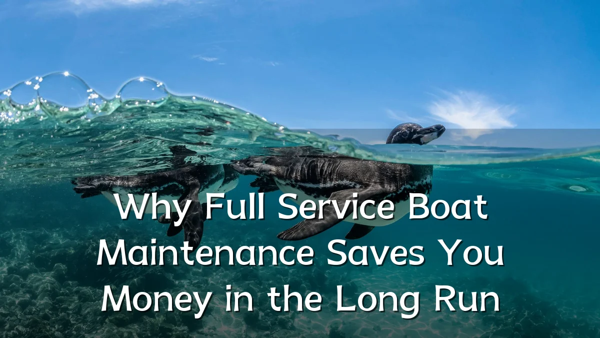 Why Full Service Boat Maintenance Saves You Money in the Long Run