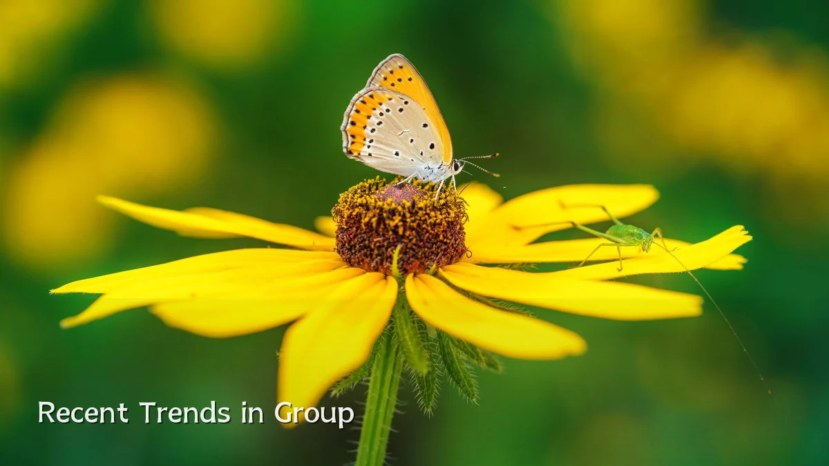Recent Trends in Group