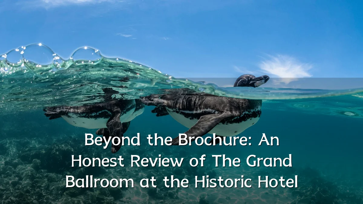 Beyond the Brochure: An Honest Review of The Grand Ballroom at the Historic Hotel