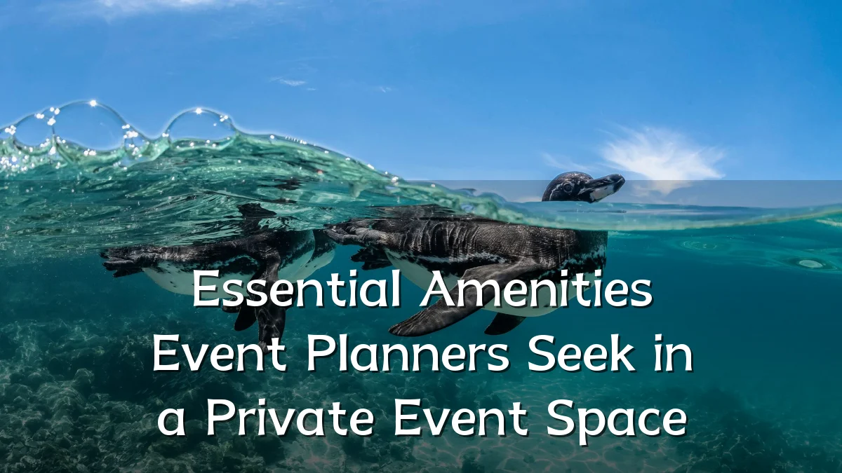Essential Amenities Event Planners Seek in a Private Event Space
