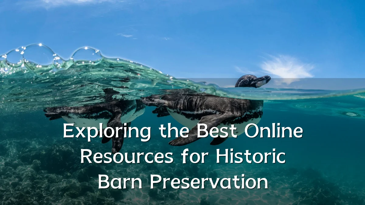 Exploring the Best Online Resources for Historic Barn Preservation
