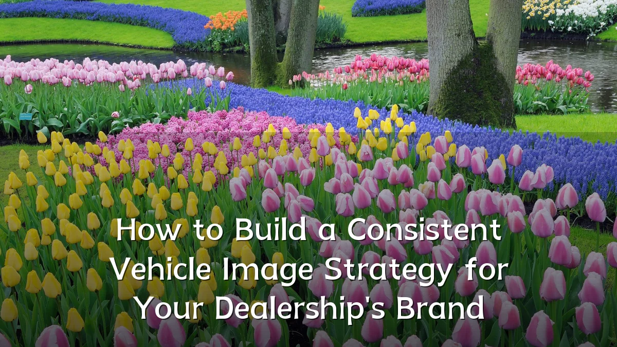 How to Build a Consistent Vehicle Image Strategy for Your Dealership's Brand