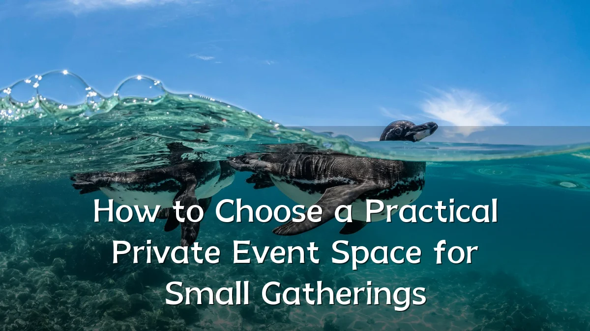 How to Choose a Practical Private Event Space for Small Gatherings