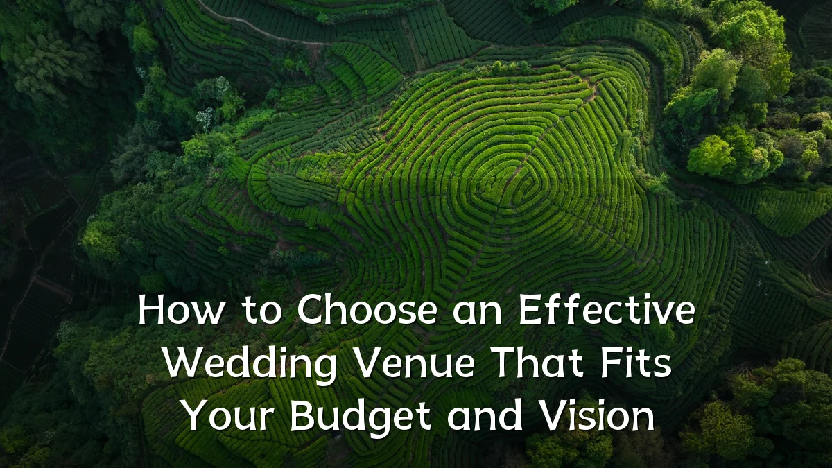 How to Choose an Effective Wedding Venue That Fits Your Budget and Vision