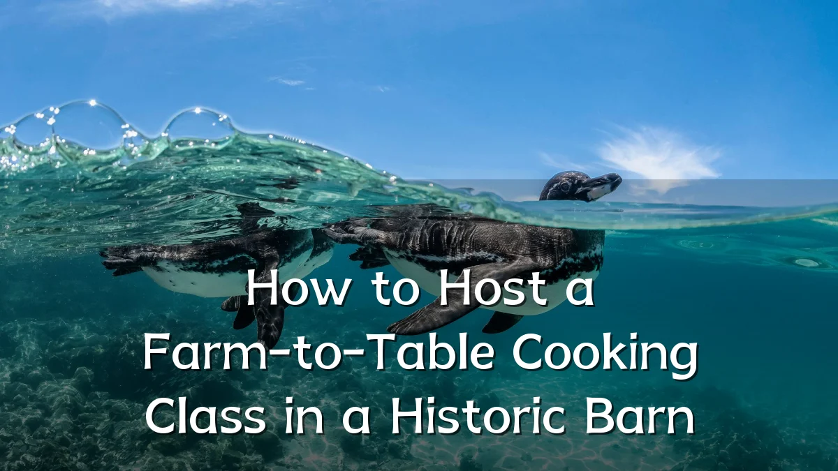 How to Host a Farm-to-Table Cooking Class in a Historic Barn