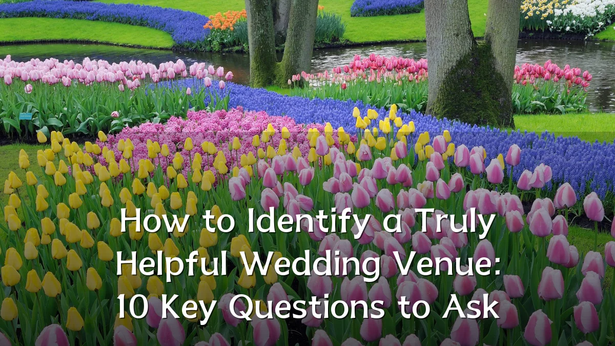 How to Identify a Truly Helpful Wedding Venue: 10 Key Questions to Ask