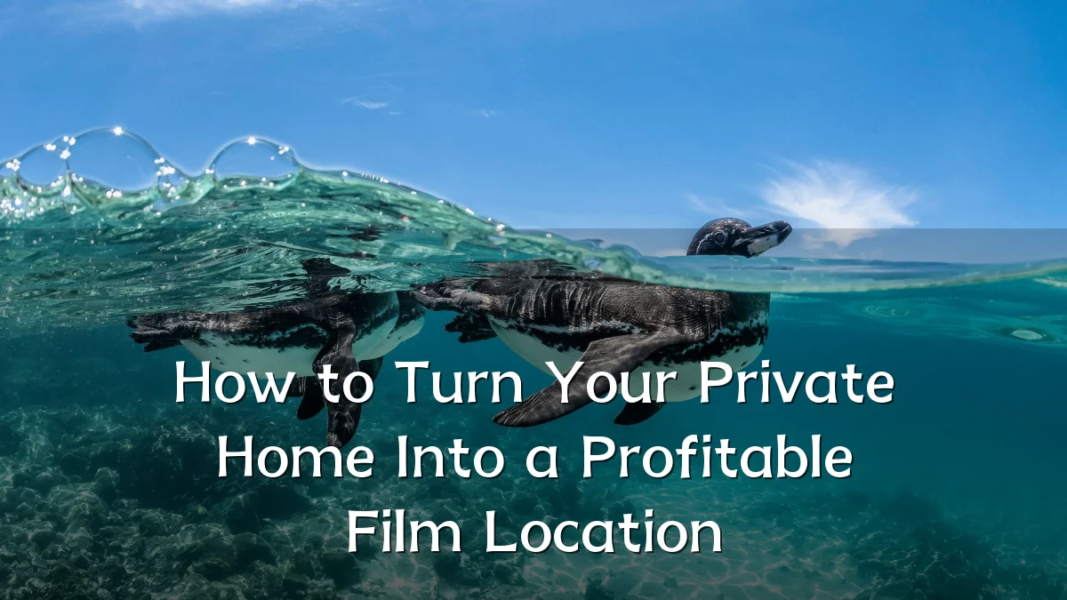 How to Turn Your Private Home Into a Profitable Film Location