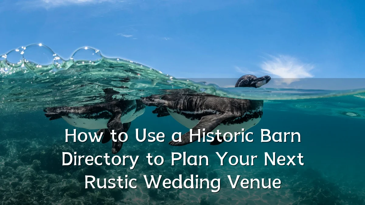How to Use a Historic Barn Directory to Plan Your Next Rustic Wedding Venue
