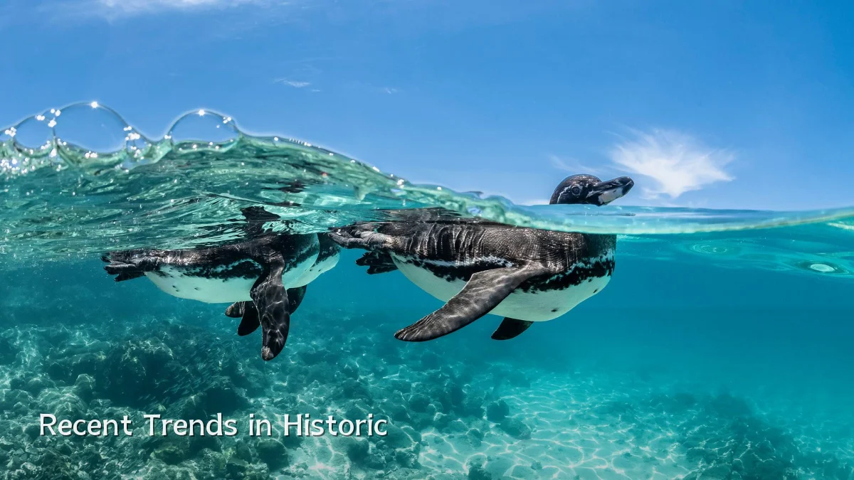 Recent Trends in Historic