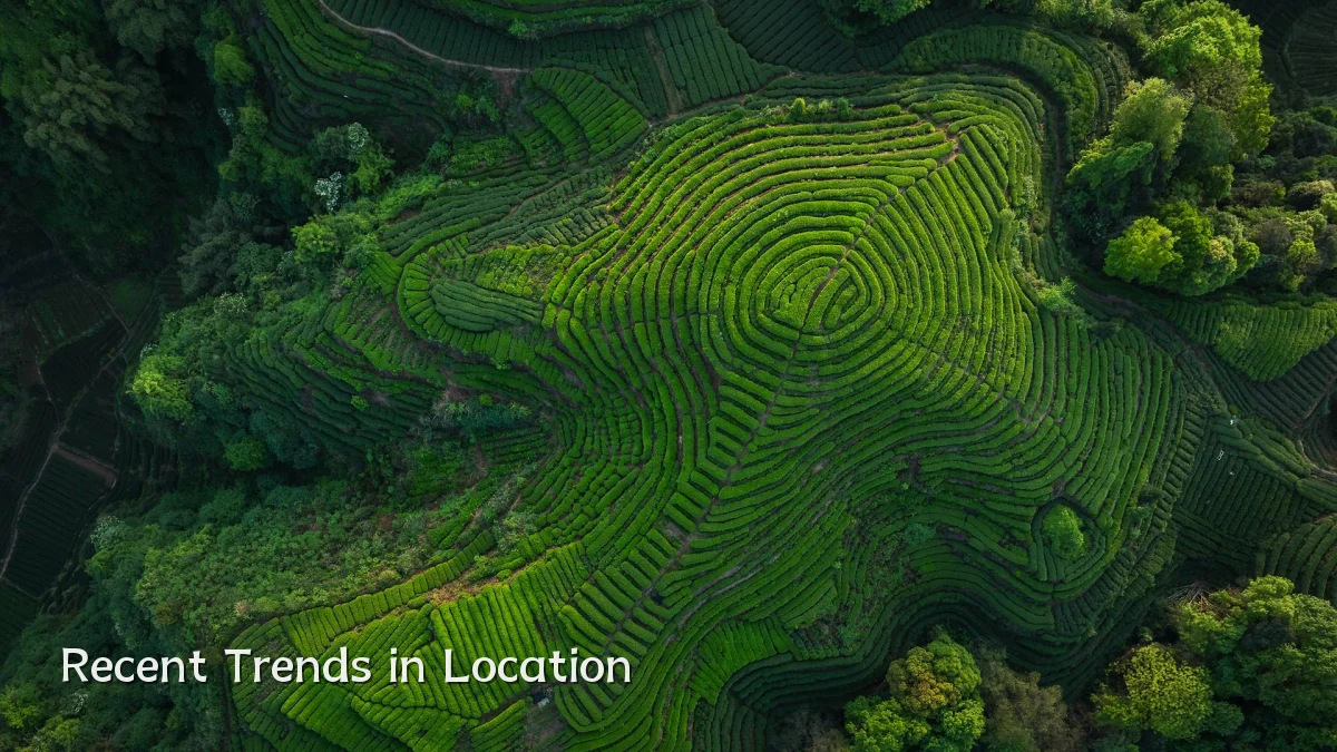 Recent Trends in Location