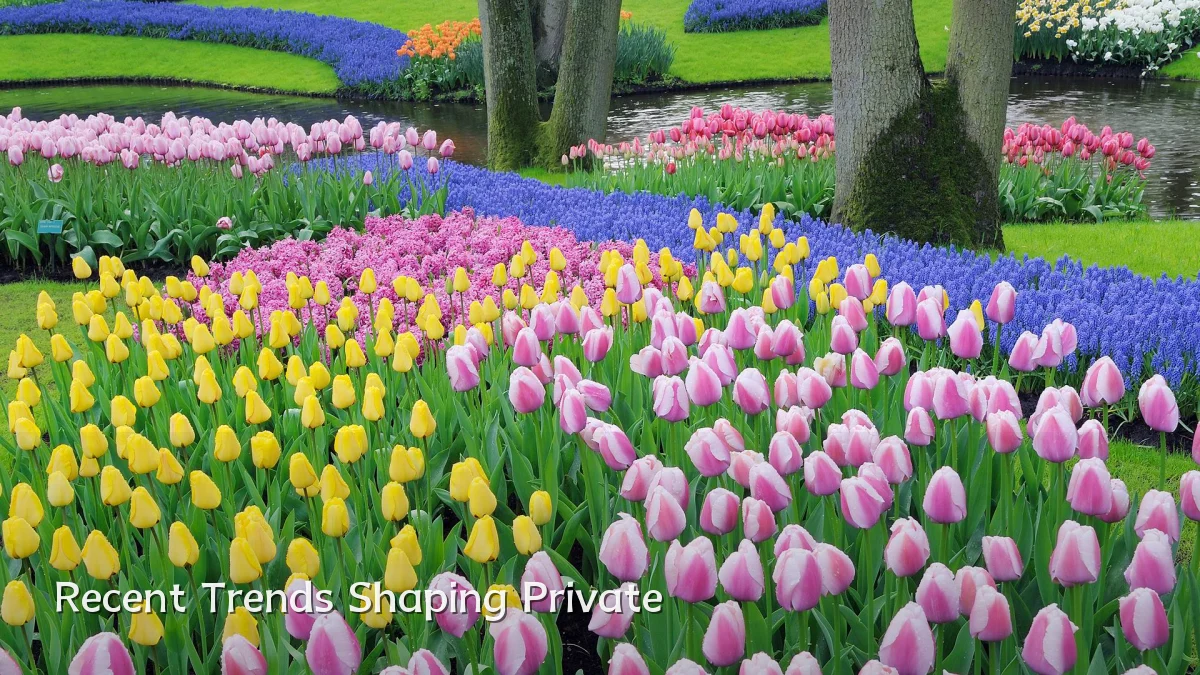 Recent Trends Shaping Private