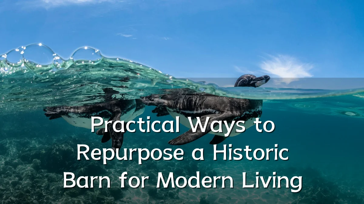 Practical Ways to Repurpose a Historic Barn for Modern Living