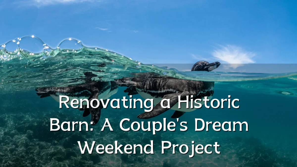 Renovating a Historic Barn: A Couple's Dream Weekend Project
