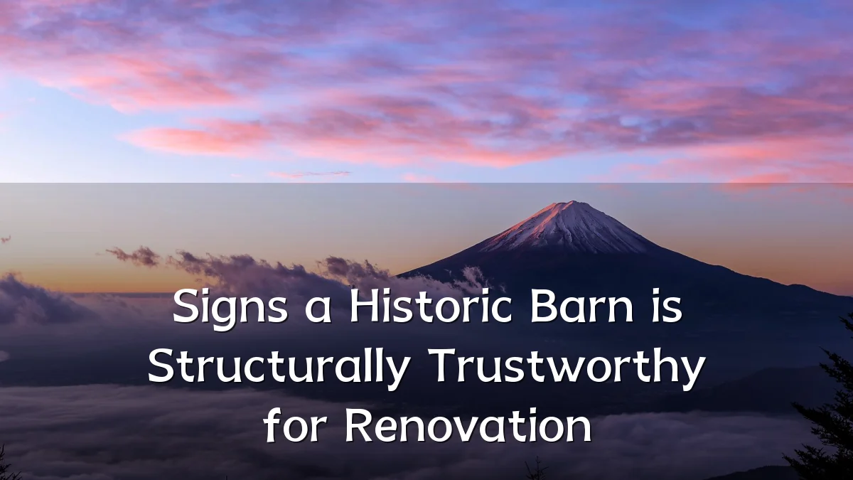 Signs a Historic Barn is Structurally Trustworthy for Renovation