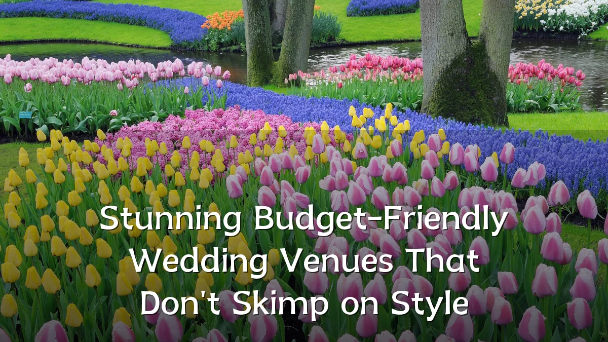 Stunning Budget-Friendly Wedding Venues That Don't Skimp on Style