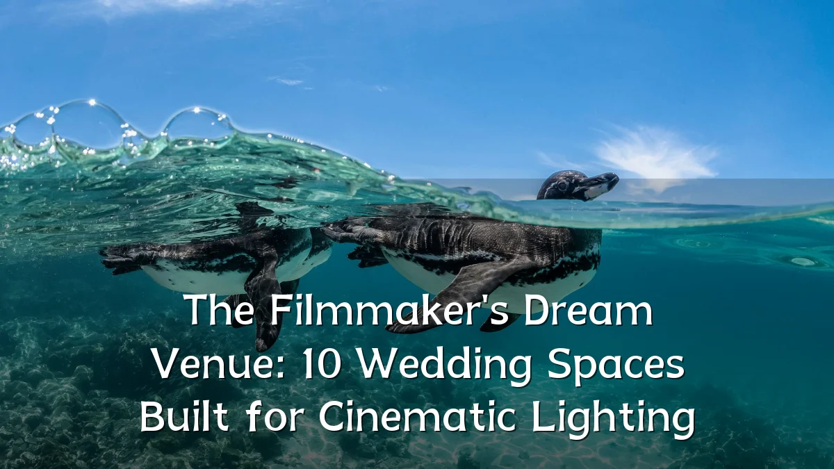 The Filmmaker's Dream Venue: 10 Wedding Spaces Built for Cinematic Lighting
