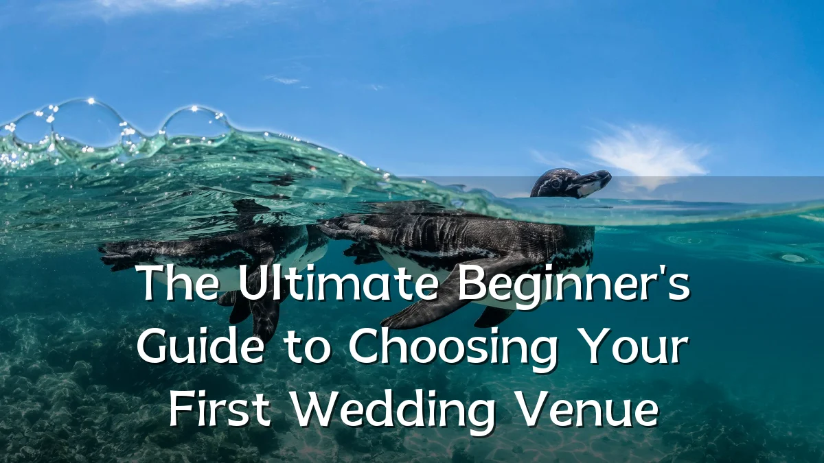The Ultimate Beginner's Guide to Choosing Your First Wedding Venue