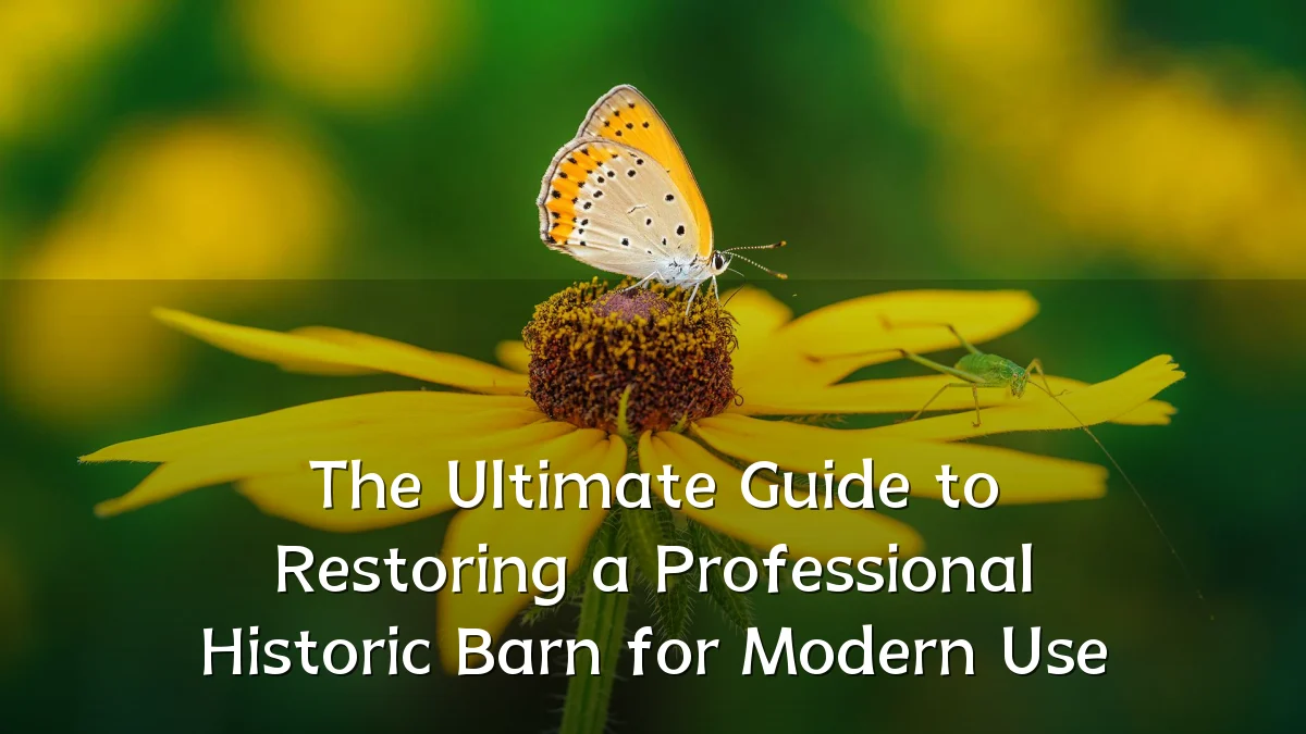 The Ultimate Guide to Restoring a Professional Historic Barn for Modern Use