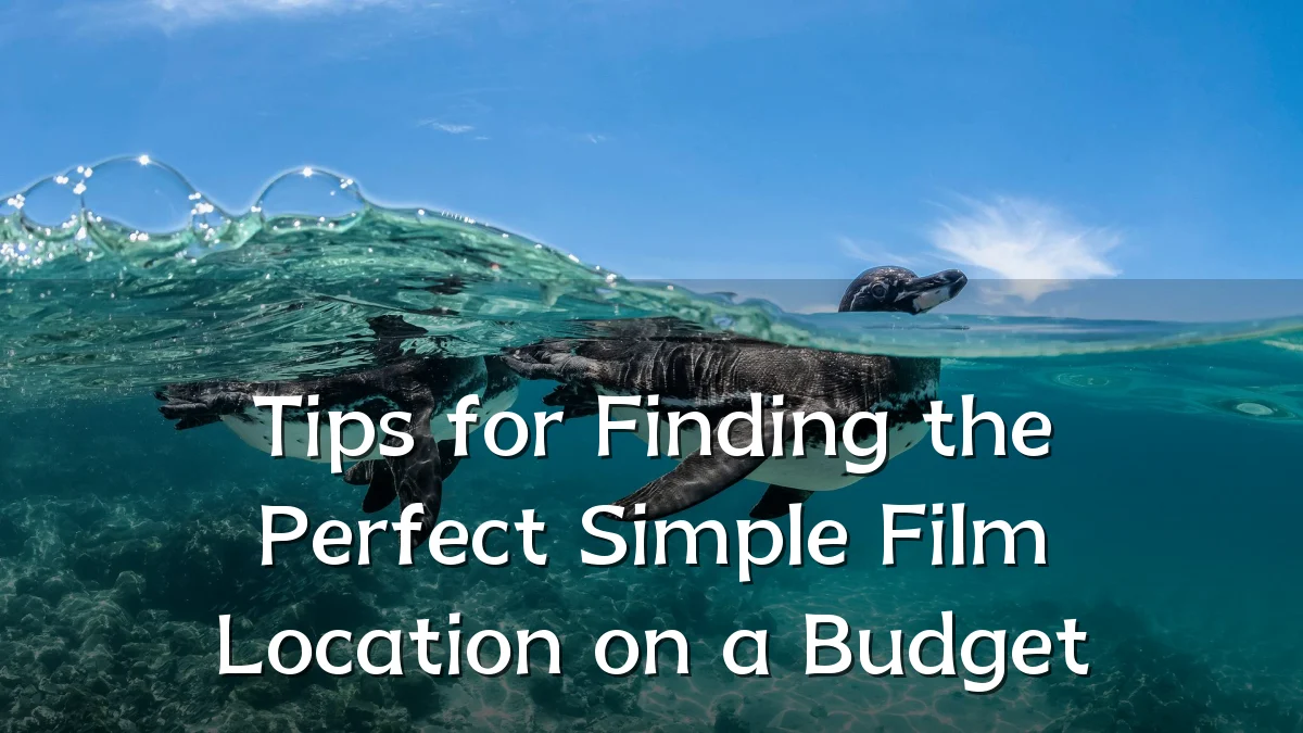 Tips for Finding the Perfect Simple Film Location on a Budget