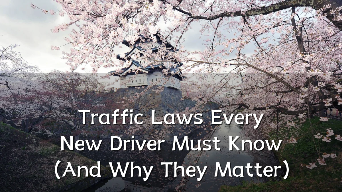 Traffic Laws Every New Driver Must Know (And Why They Matter)