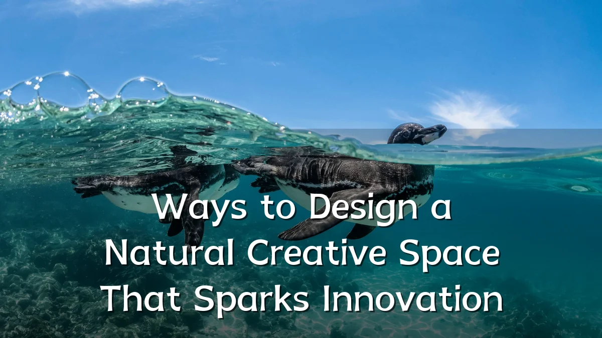 Ways to Design a Natural Creative Space That Sparks Innovation