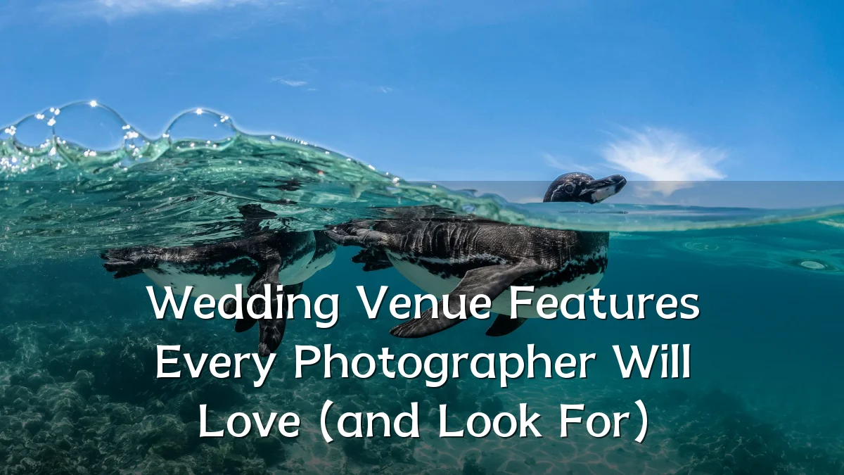 Wedding Venue Features Every Photographer Will Love (and Look For)