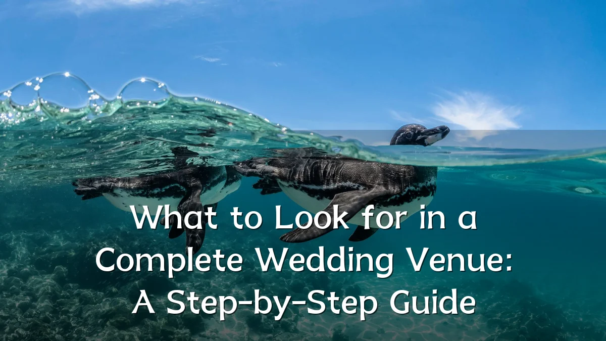 What to Look for in a Complete Wedding Venue: A Step-by-Step Guide