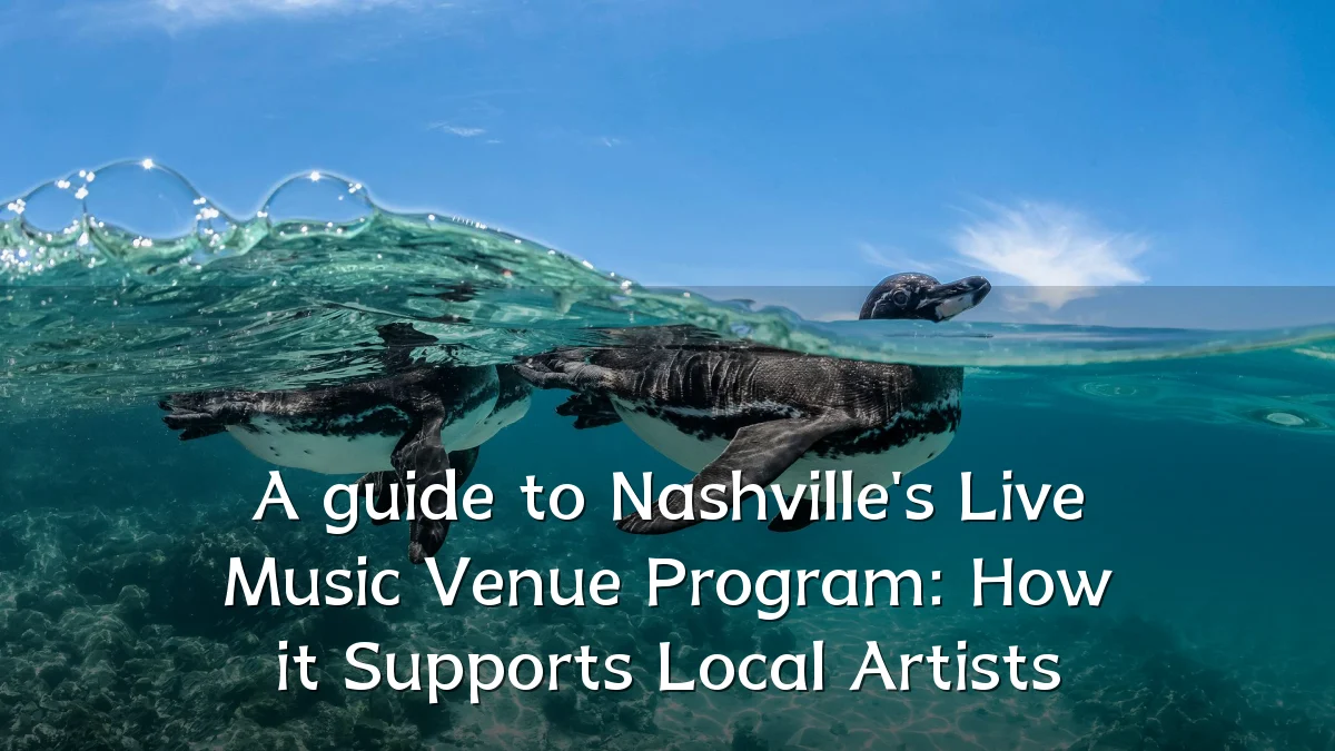 A guide to Nashville's Live Music Venue Program: How it Supports Local Artists