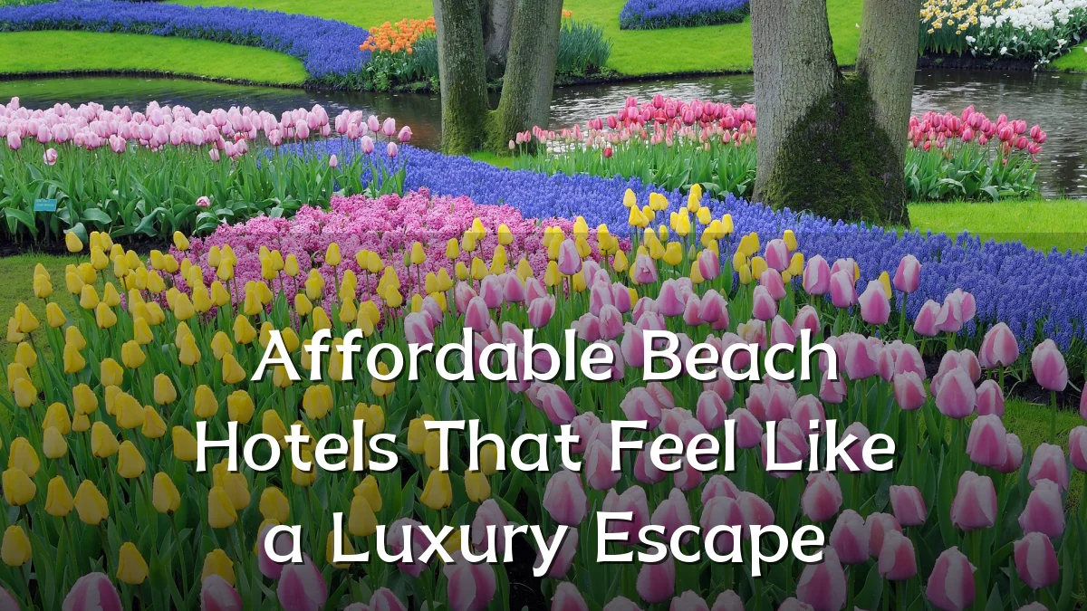 Affordable Beach Hotels That Feel Like a Luxury Escape
