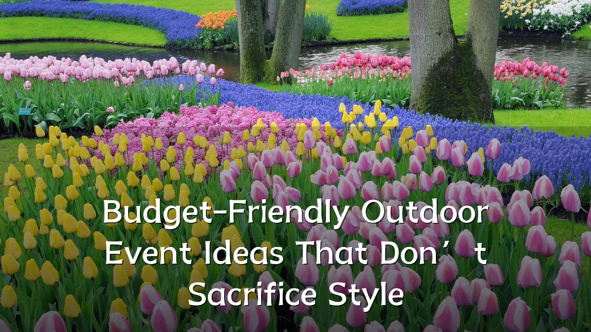 Budget-Friendly Outdoor Event Ideas That Don’t Sacrifice Style