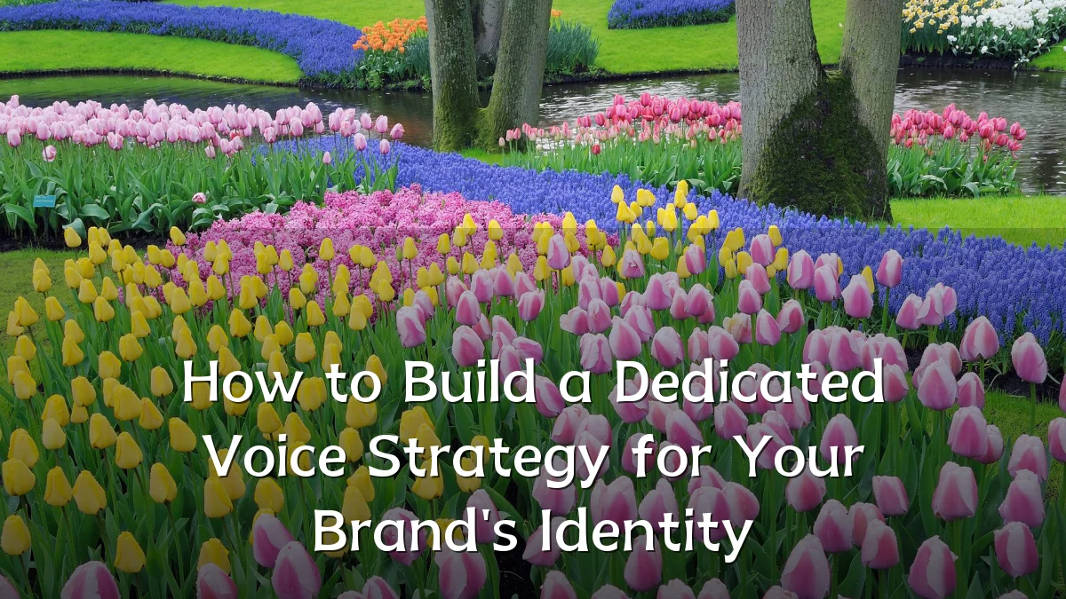 How to Build a Dedicated Voice Strategy for Your Brand's Identity