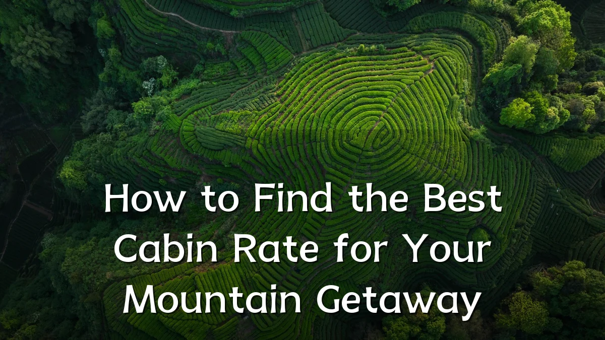 How to Find the Best Cabin Rate for Your Mountain Getaway