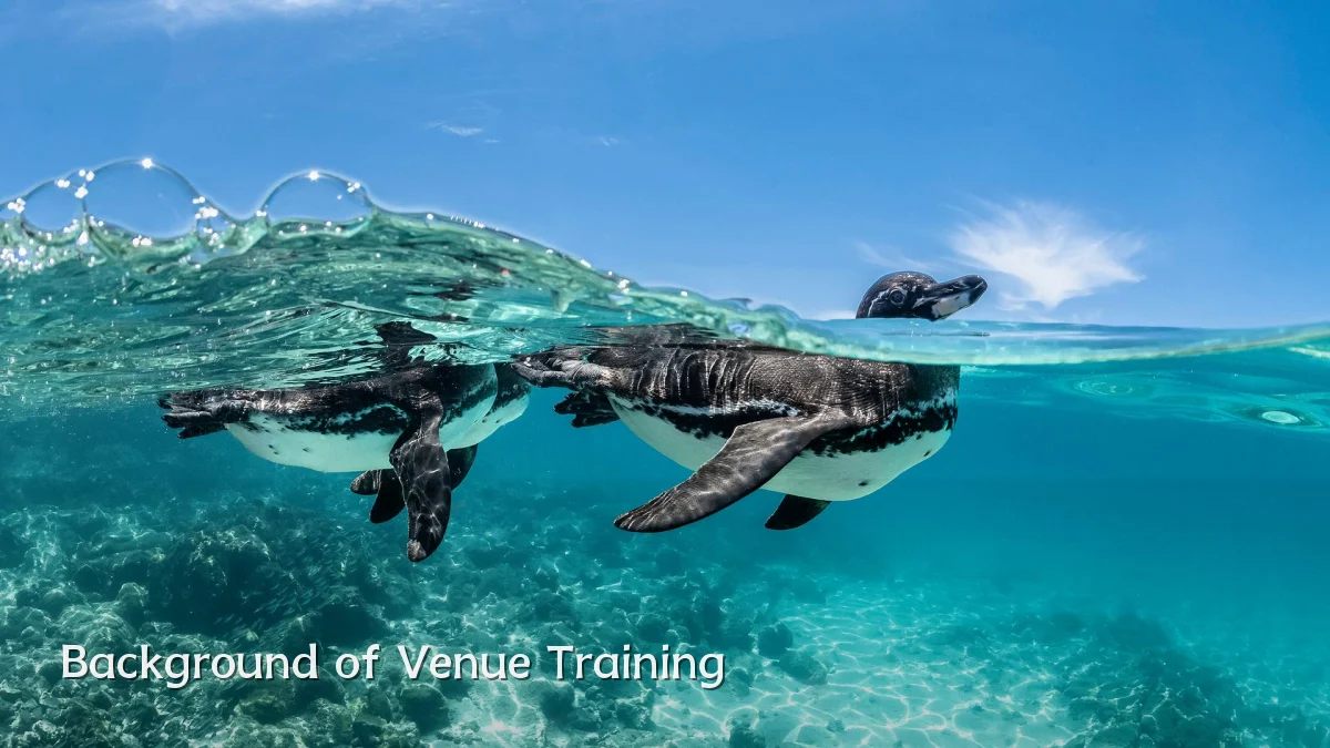 Background of Venue Training
