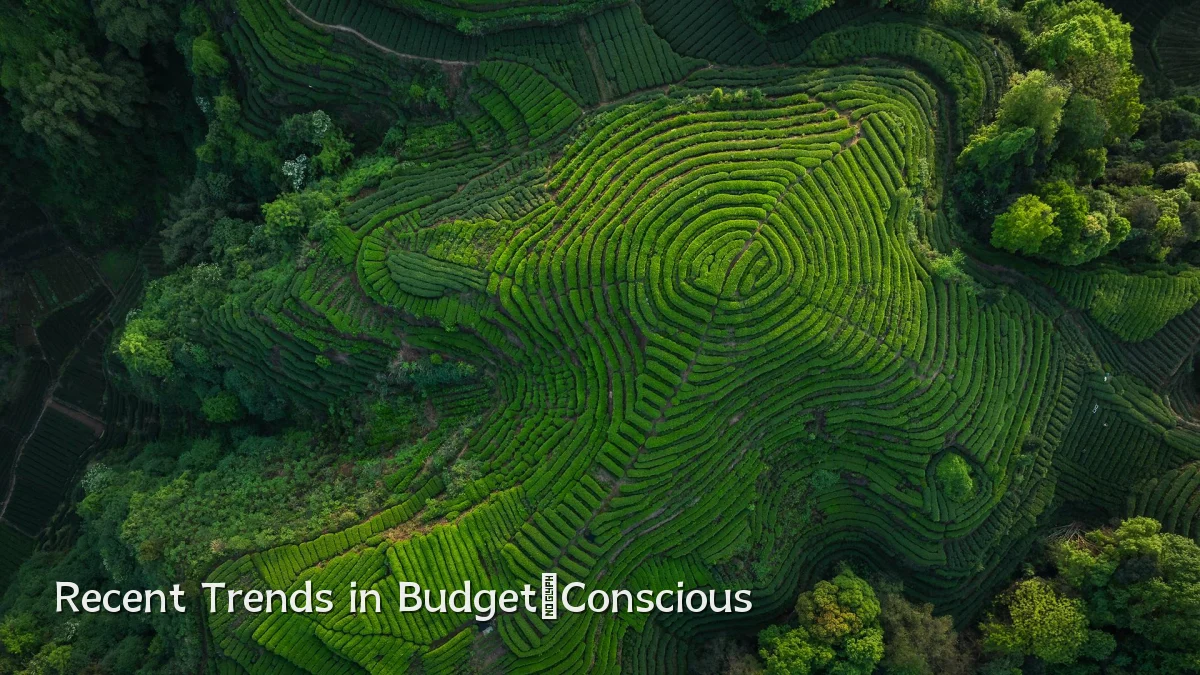 Recent Trends in Budget‑Conscious