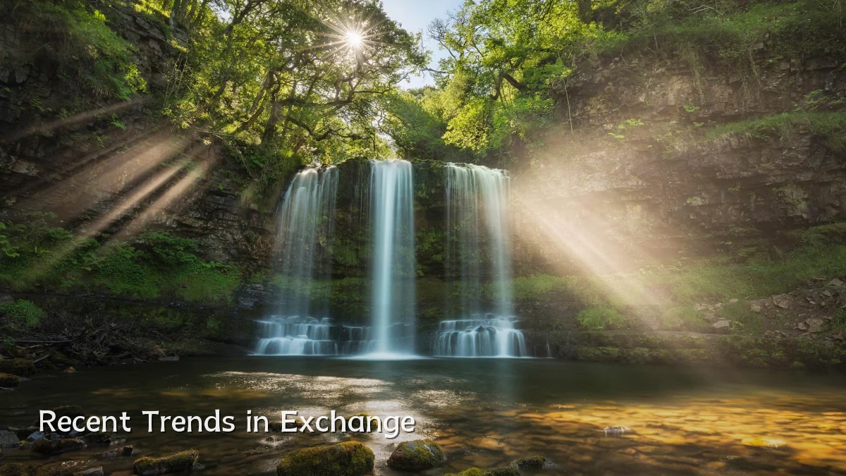 Recent Trends in Exchange
