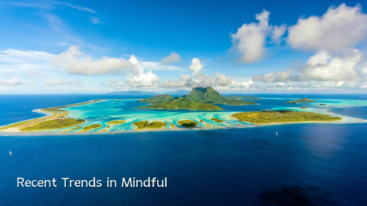 Recent Trends in Mindful