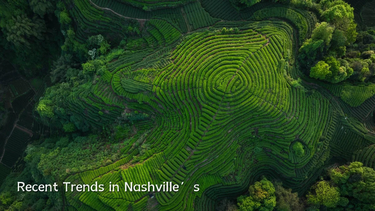 Recent Trends in Nashville’s