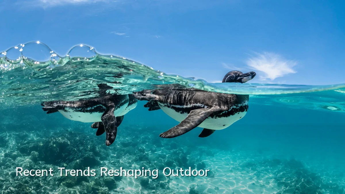 Recent Trends Reshaping Outdoor