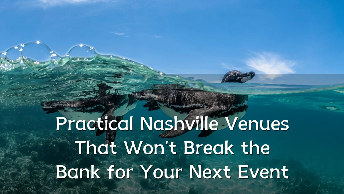 Practical Nashville Venues That Won't Break the Bank for Your Next Event