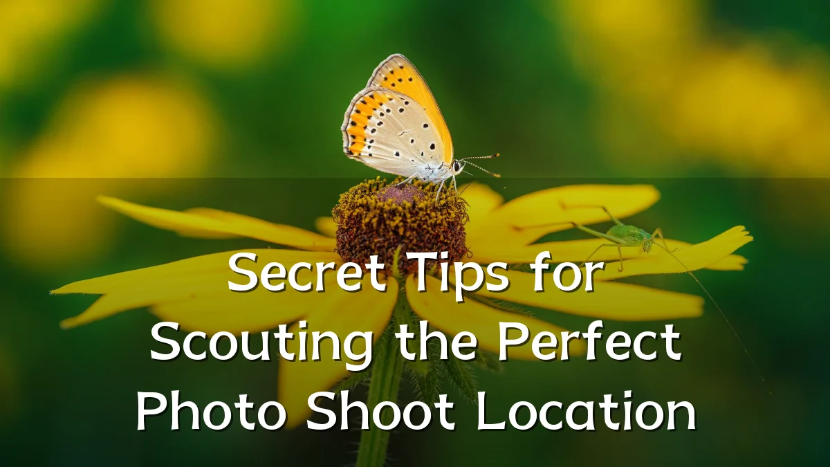 Secret Tips for Scouting the Perfect Photo Shoot Location