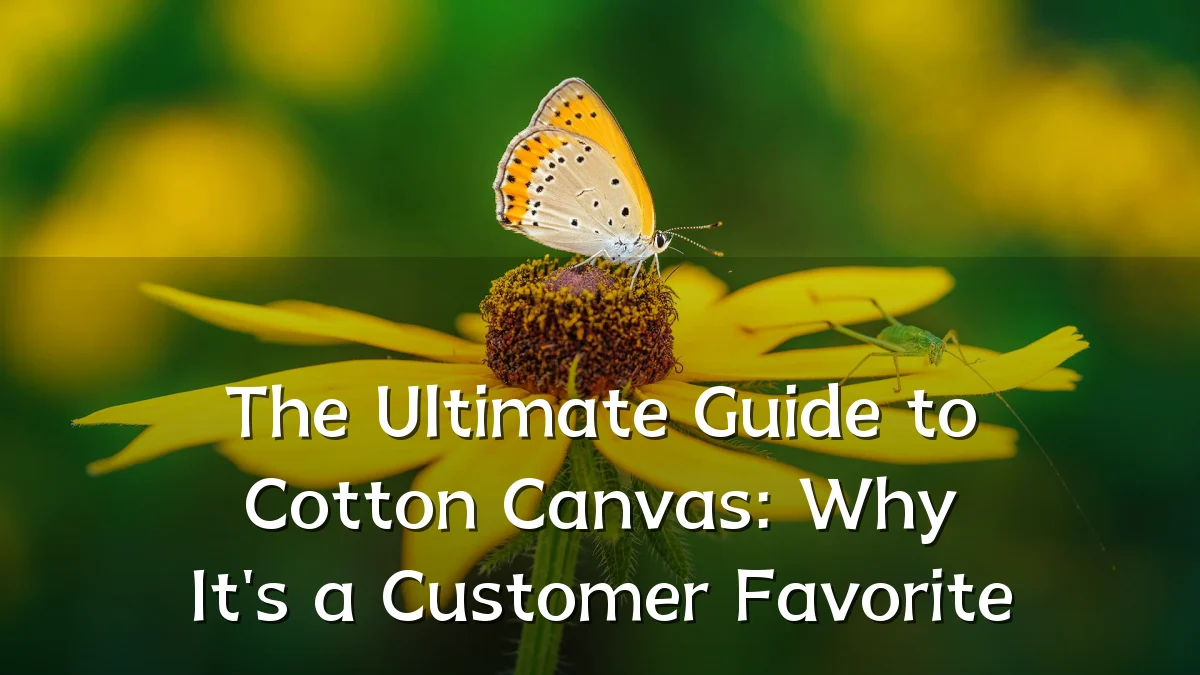 The Ultimate Guide to Cotton Canvas: Why It's a Customer Favorite