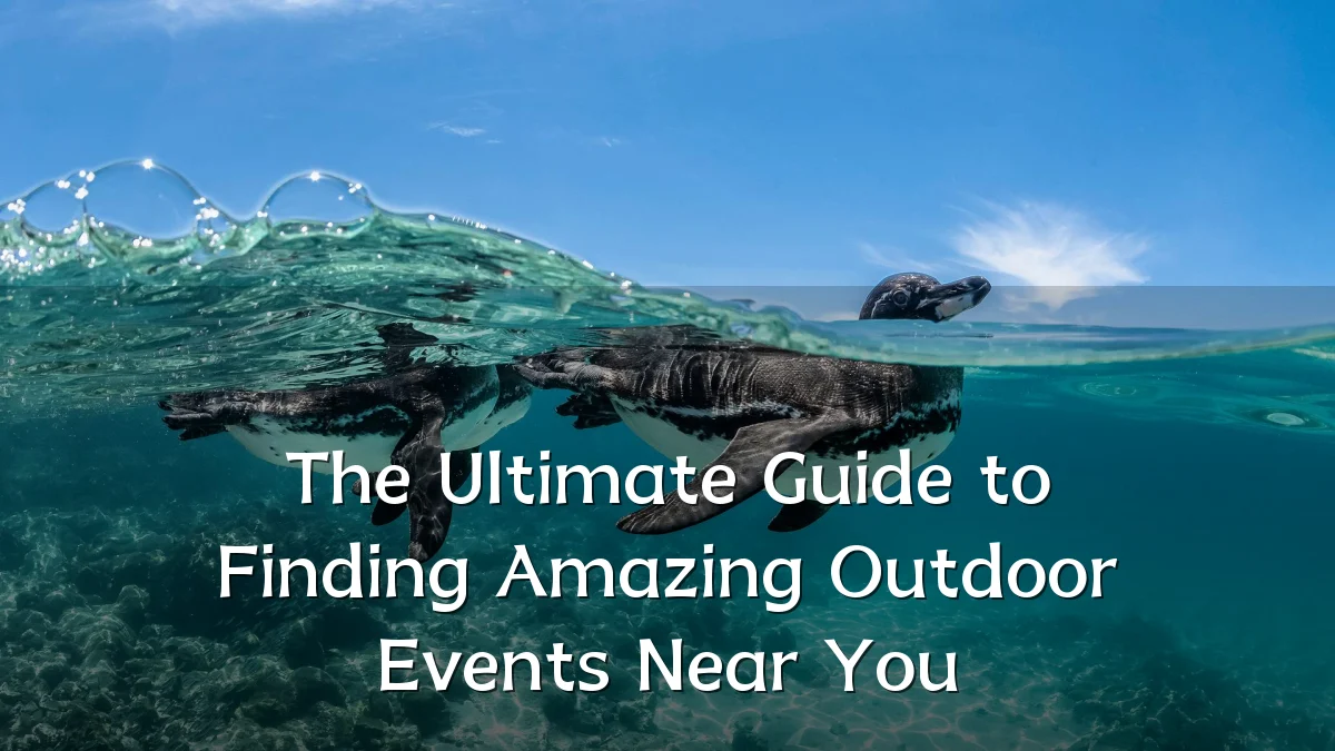 The Ultimate Guide to Finding Amazing Outdoor Events Near You