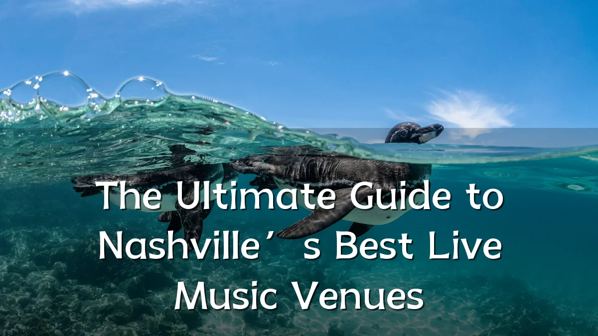 The Ultimate Guide to Nashville’s Best Live Music Venues