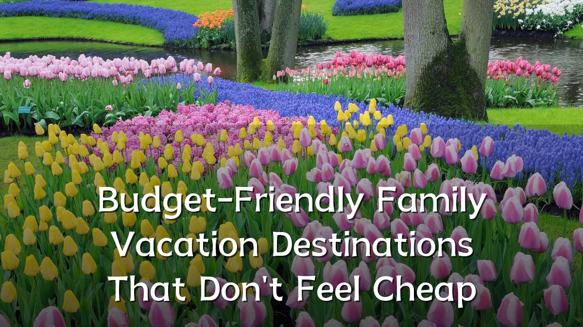 Budget-Friendly Family Vacation Destinations That Don't Feel Cheap